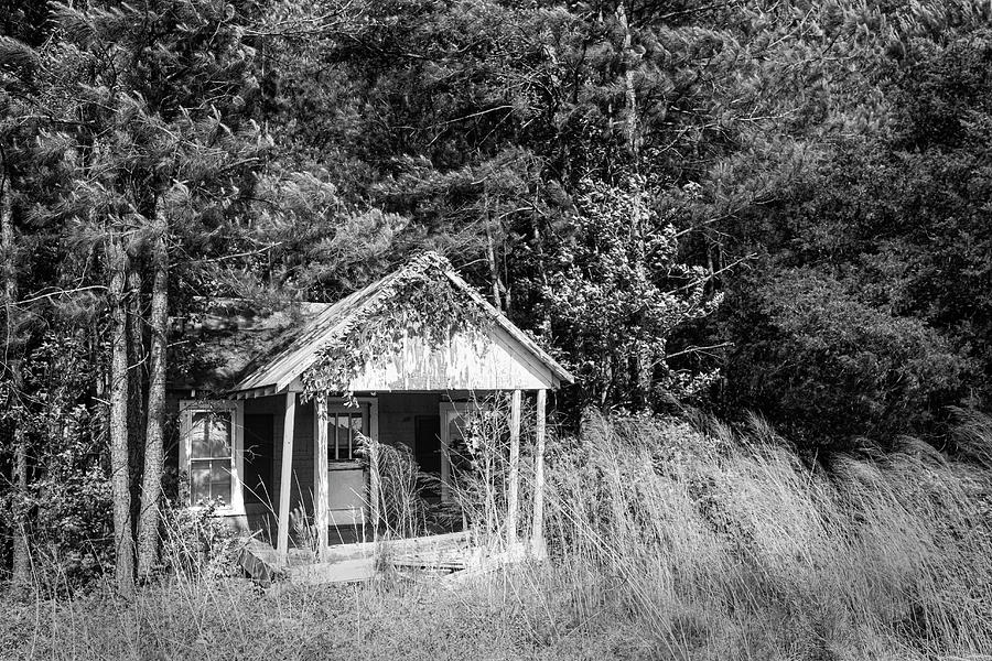 Abandoned House Lenoir County North Carolina Photograph by Bob Decker