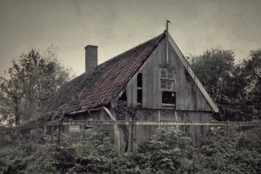 Abandoned house Photograph by Maria Meester
