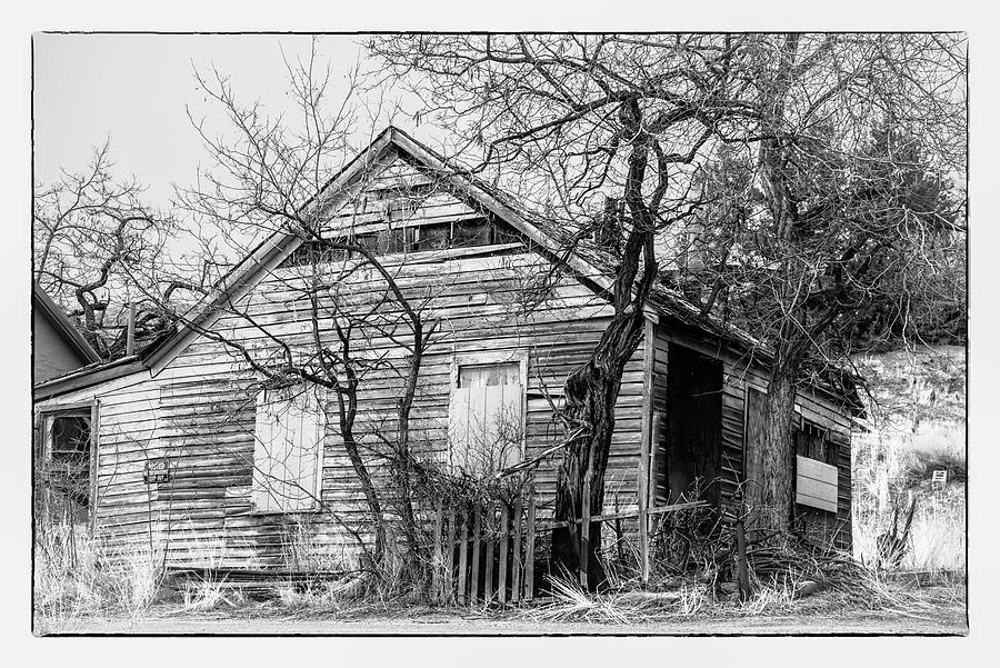 Abandoned in Austin 8296 Photograph by Janis Knight