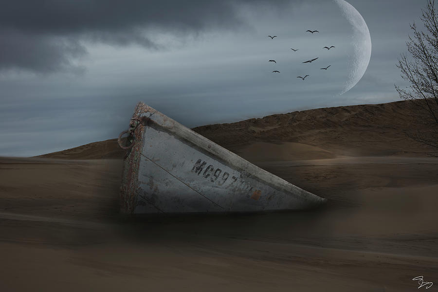 Abandoned in Dune Photograph by Evie Carrier