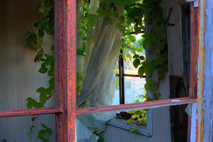 Vintage Photograph - Abandoned in New Jersey by Pete Federico Vintage Photograph - Abandoned in New Jersey by Pete Federico