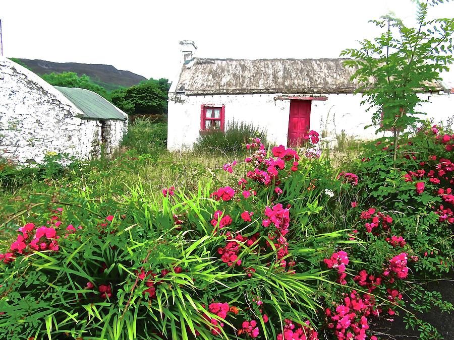 Abandoned  Irish cottage Photograph by Stephanie Moore