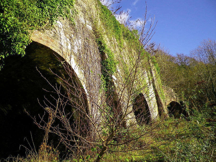Abandoned Lime Kilns New Quay Tamar Valley Devon Photograph by Richard Brookes