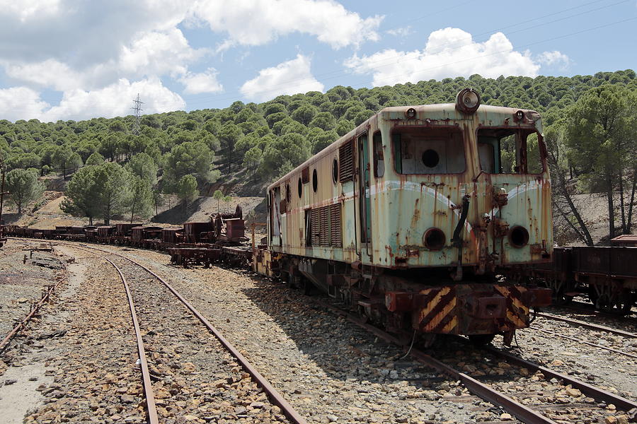 Abandoned locomotive Photograph by Iñaki Respaldiza