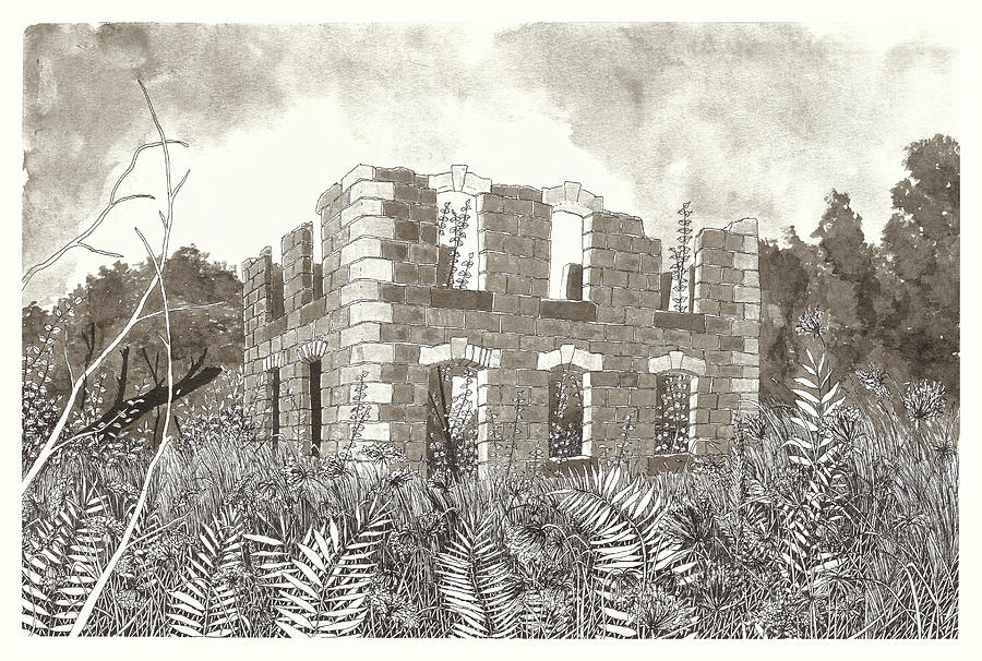 Abandoned Luther Marsh Homestead Drawing by Jonathan Baldock