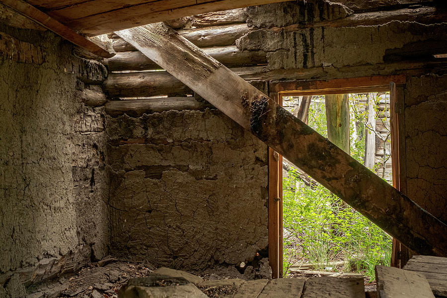 Abandoned Mud Plastered Log Cabin Photograph by Mary Lee Dereske