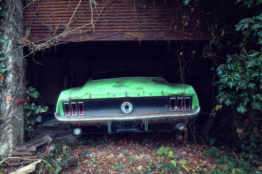 Abandoned Mustang Photograph by Roman Robroek