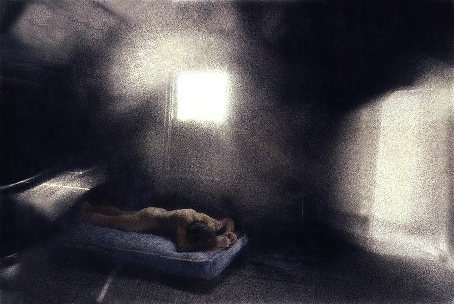 Abandoned Nude Photograph by Wayne King