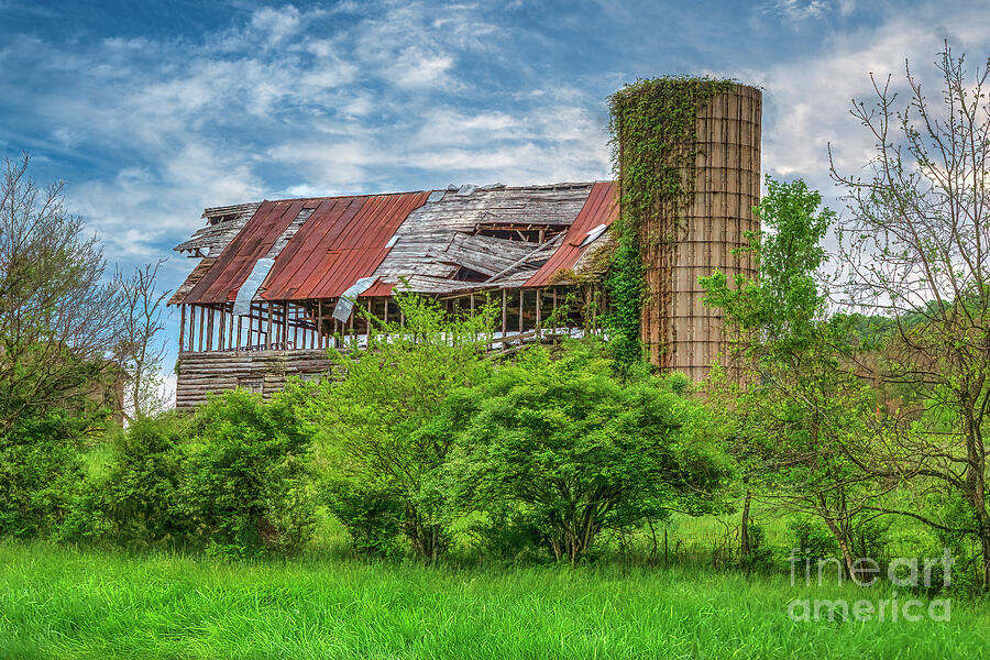 Abandoned Old Barn in Hiding Photograph by Shelia Hunt