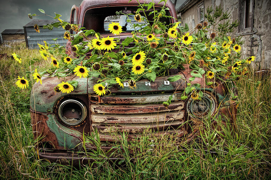 Abandoned Old Ford Truck with Yellow Flowers Photograph by ...