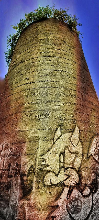 Abandoned Old Silo Photograph by Ally White