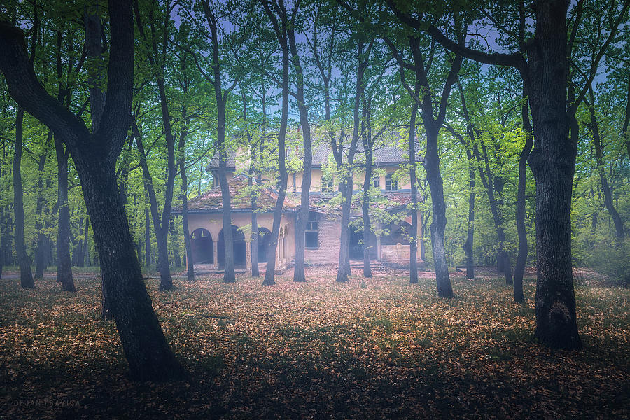 Abandoned old villa in the forest Photograph by Dejan Travica