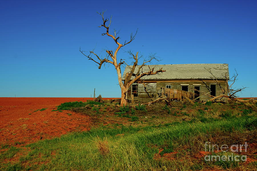 Abandoned on Red Dirt Photograph by Diana Mary Sharpton