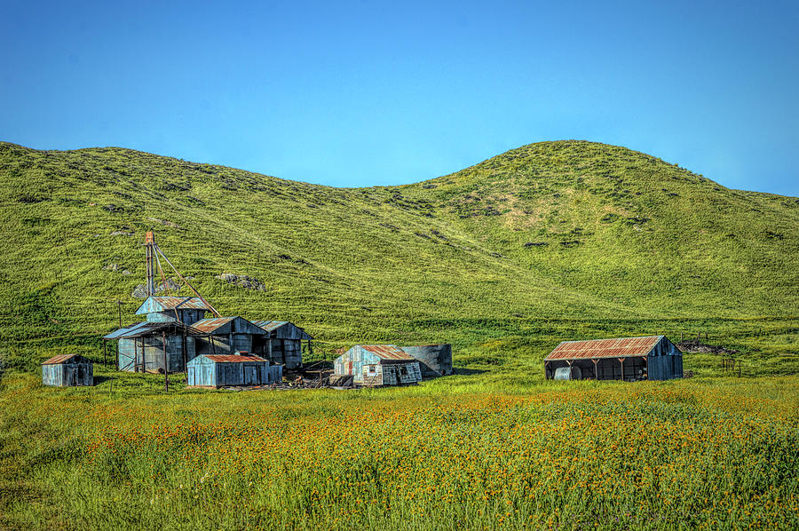 Abandoned on the Carrizo Plains  Photograph by Floyd Snyder