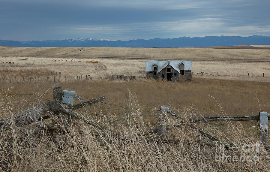 Abandoned on the High Plains Photograph by Idaho Scenic Images Linda Lantzy