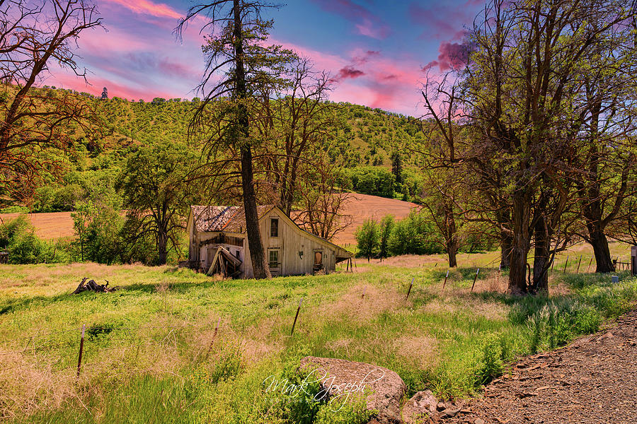 Abandoned Oregon Homestead Photograph by Mark Joseph