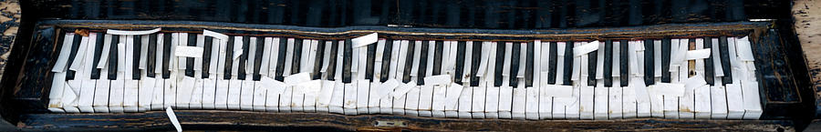 Abandoned Piano 5 Photograph