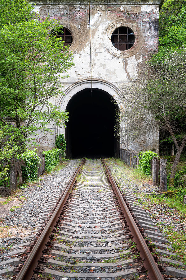 Abandoned Railroad Tunnel Photograph by Roman Robroek