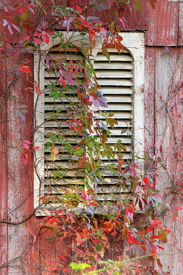 Abandoned Red Barn Window Photograph by Kristia Adams