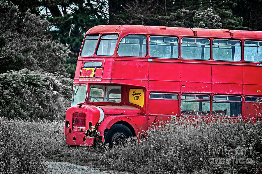 Abandoned red vintage bus Photograph by Delphimages Photo Creations