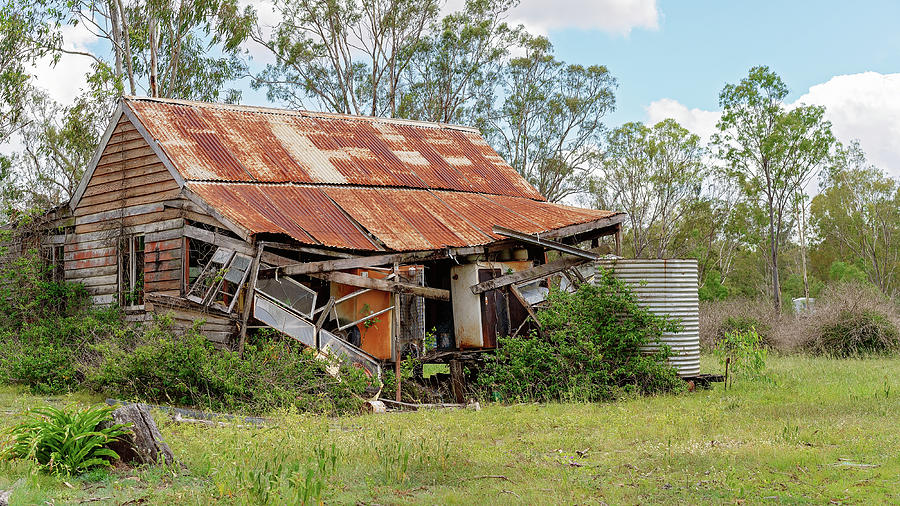 Abandoned Shack Photograph by Michele Jackson - Fine Art America