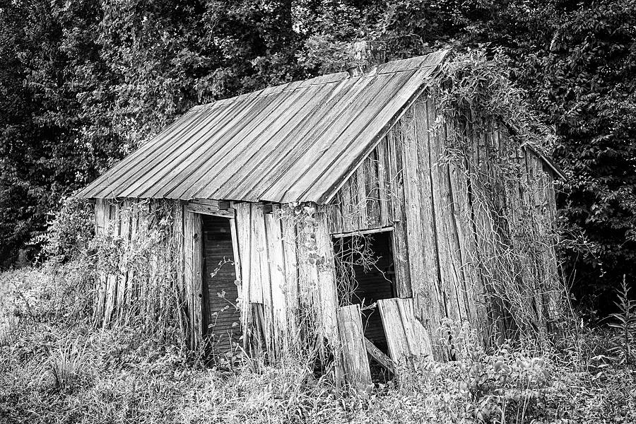 Abandoned Shack Redux - Rural Decay of an Old Tiny Home Photograph by Bob Decker
