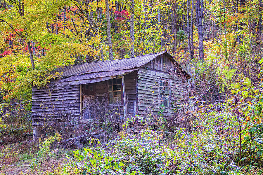 Abandoned Smoky Mountains Cabin Photograph by Bob Decker