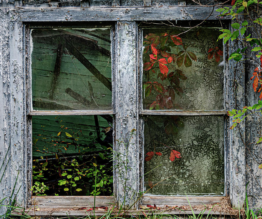 Abandoned Store Window Photograph