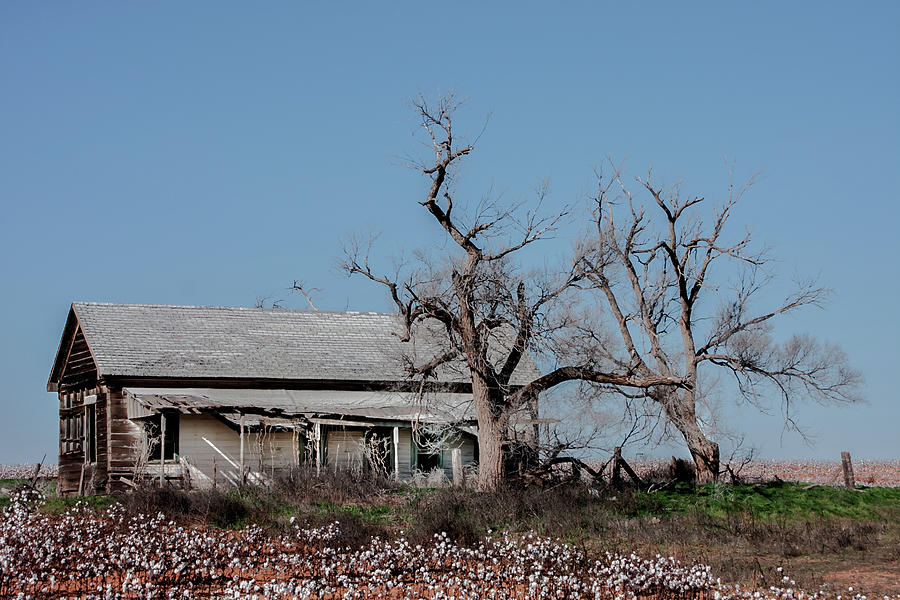 Abandoned Texas Farmhouse  Photograph by Terry Walsh