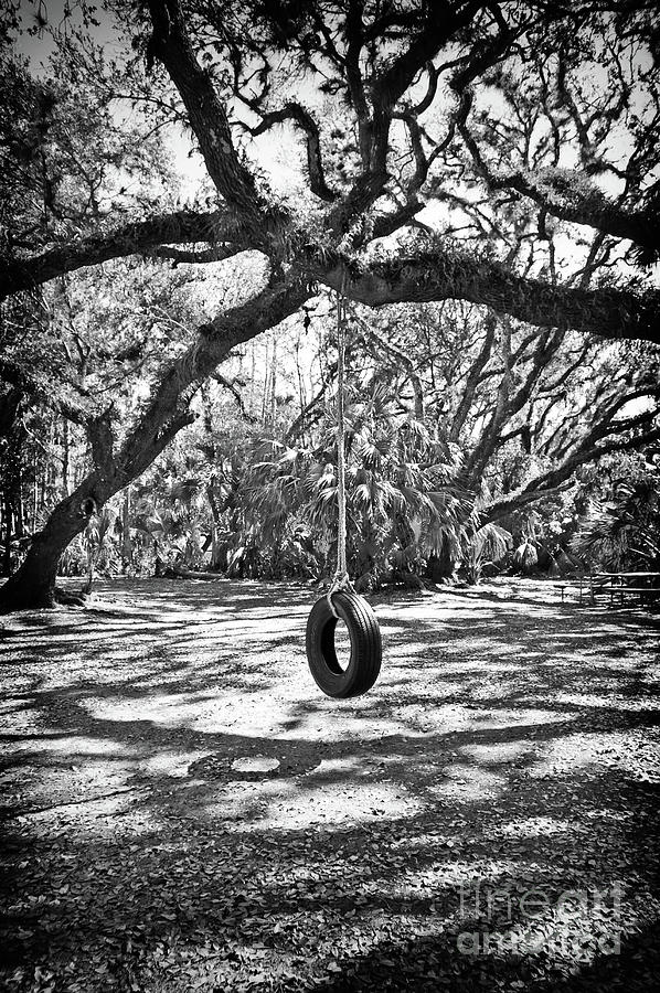 Abandoned Tire Swing - BW Photograph by Chris Andruskiewicz