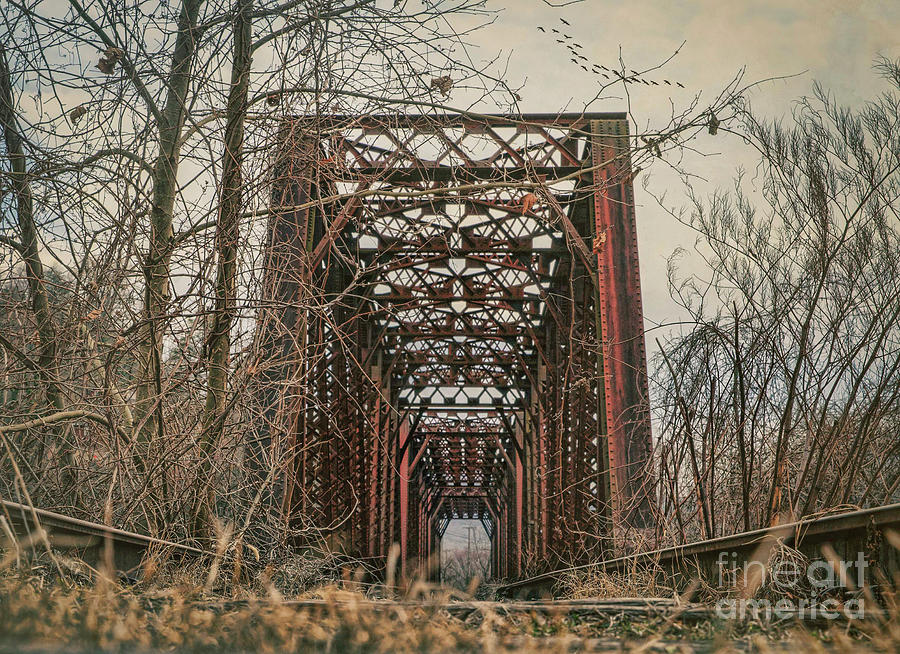 Abandoned Train Trestle  Photograph by Laurinda Bowling