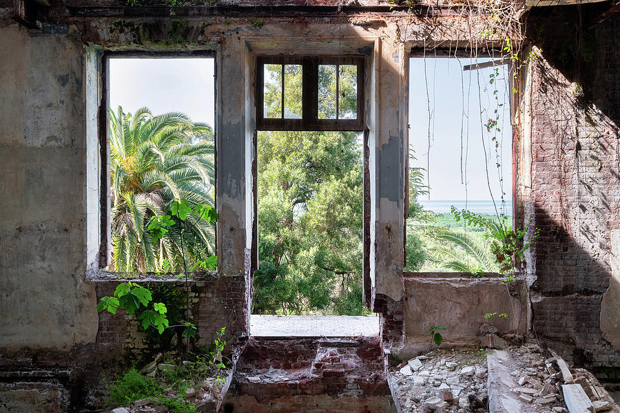 Abandoned Tropical View Photograph by Roman Robroek