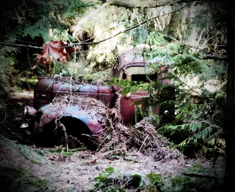 Abandoned Truck Photograph by Marie Jamieson