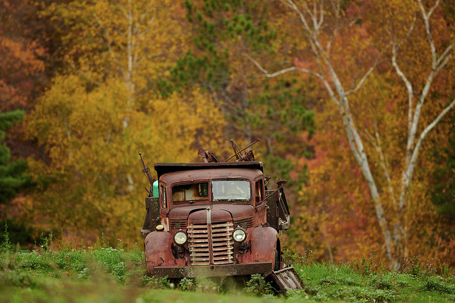 Abandoned Truck Photograph by Paul Freidlund