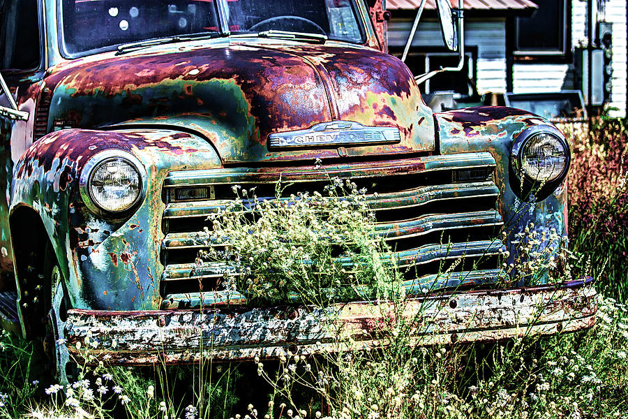 Abandoned Truck with daisies. Photograph by Michel Scheffers - Fine Art ...