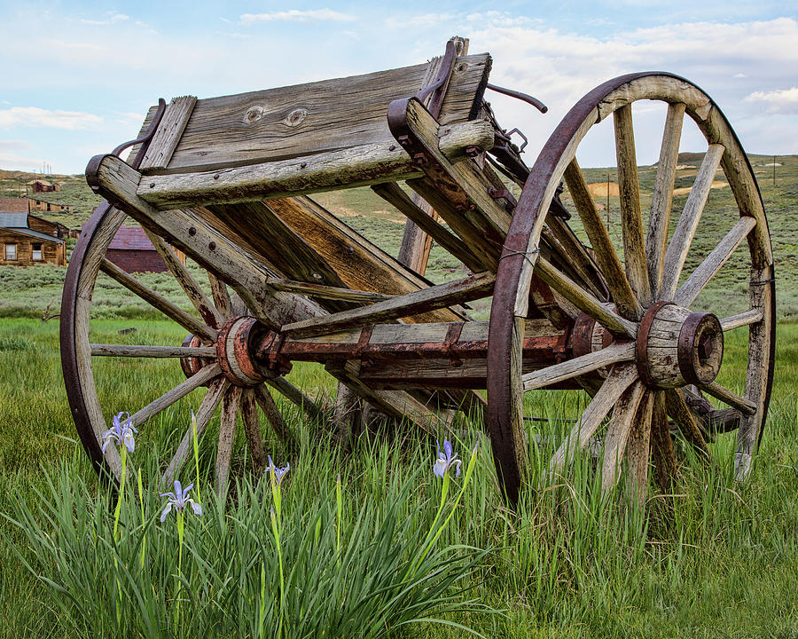 Abandoned Wagon in Bodie  Photograph by Cheryl Strahl