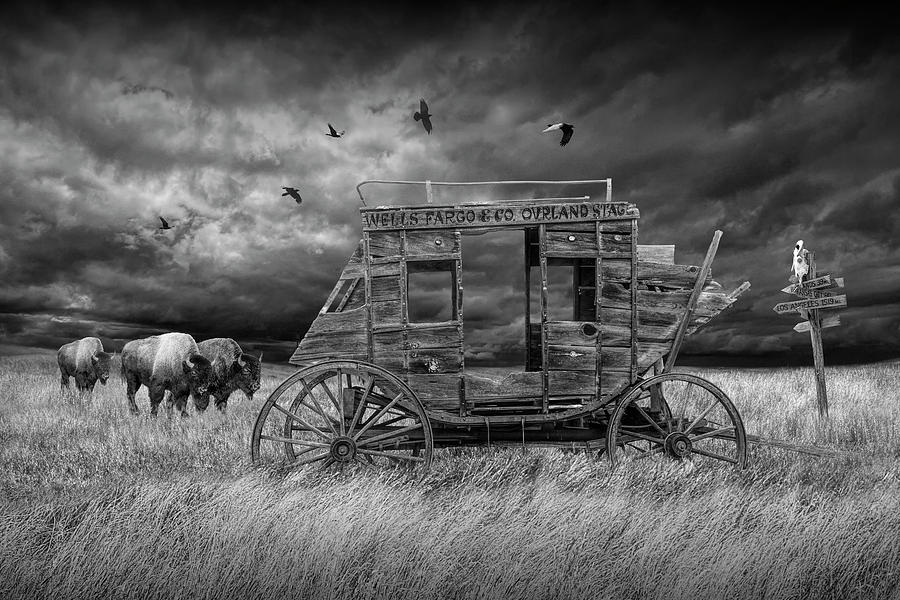 Abandoned Wells Fargo Stage Coach in Black and White Photograph by Randall Nyhof