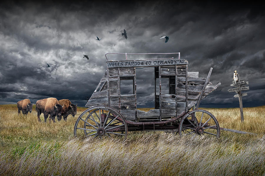 Abandoned Wells Fargo Stage Coach Photograph by Randall Nyhof