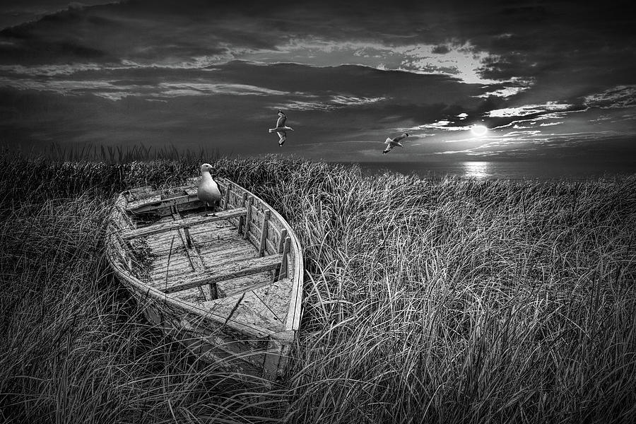 Abandoned Wooden Boat in Black and White with Gulls in the Shore Photograph by Randall Nyhof
