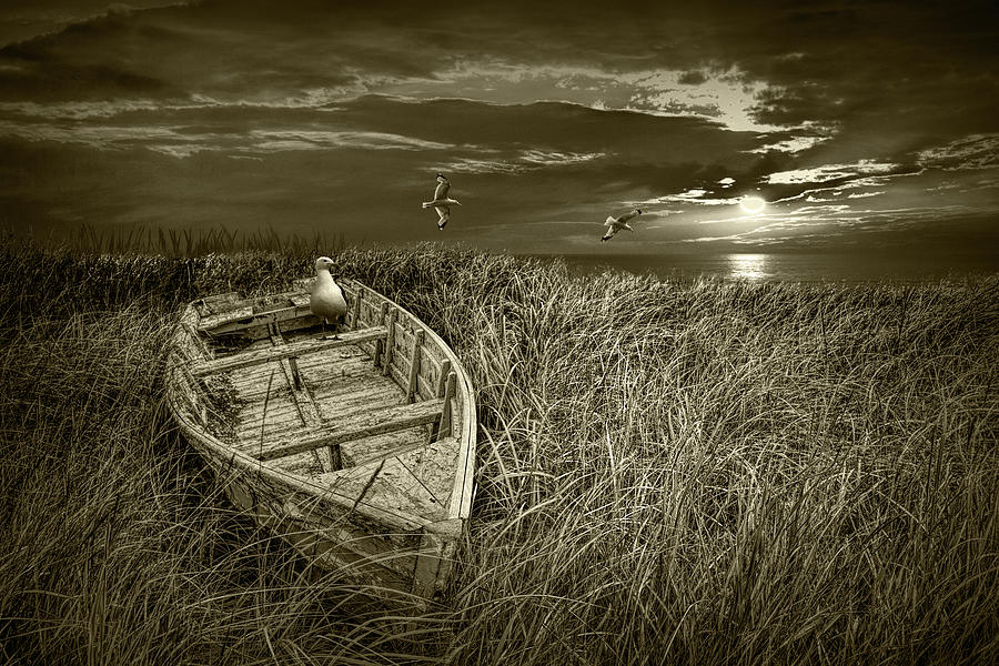 Abandoned Wooden Boat in Sepia Tone with Gulls in the Shore Gras Photograph by Randall Nyhof