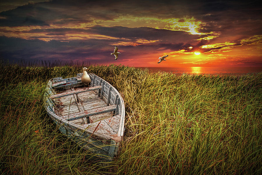 Abandoned Wooden Boat with Gulls in the Shore Grass  Photograph by Randall Nyhof