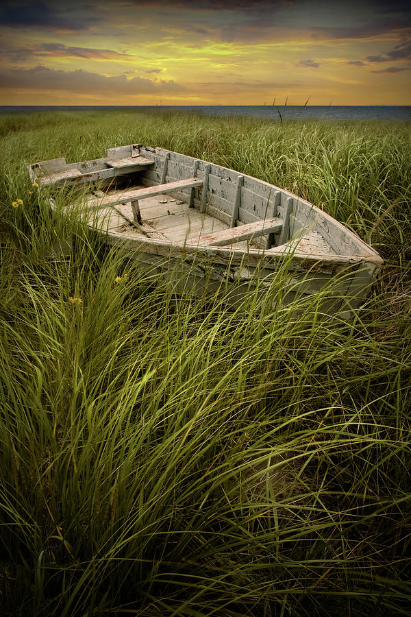 Abandoned Wooden Row Boat on the Grassy Shoreline on Prince Edwa Photograph by Randall Nyhof