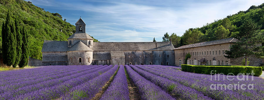 Abbaye de Senanque - Provence France Photograph by Brian Jannsen