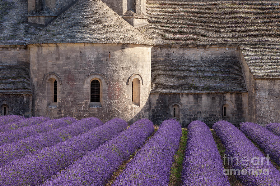 Abbaye de Senanque - Provence France II Photograph by Brian Jannsen