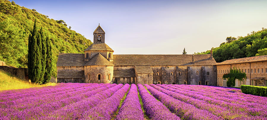 Abbey of Senanque blooming lavender flowers panorama at sunset.  Photograph by Stefano Orazzini