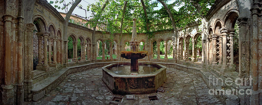 Abbey of Valmagne Fountain Photograph by David Zanzinger
