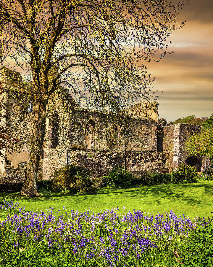 Abbey Ruins, St Davids, Pembrokeshire, Wales Photograph by Mark Llewellyn