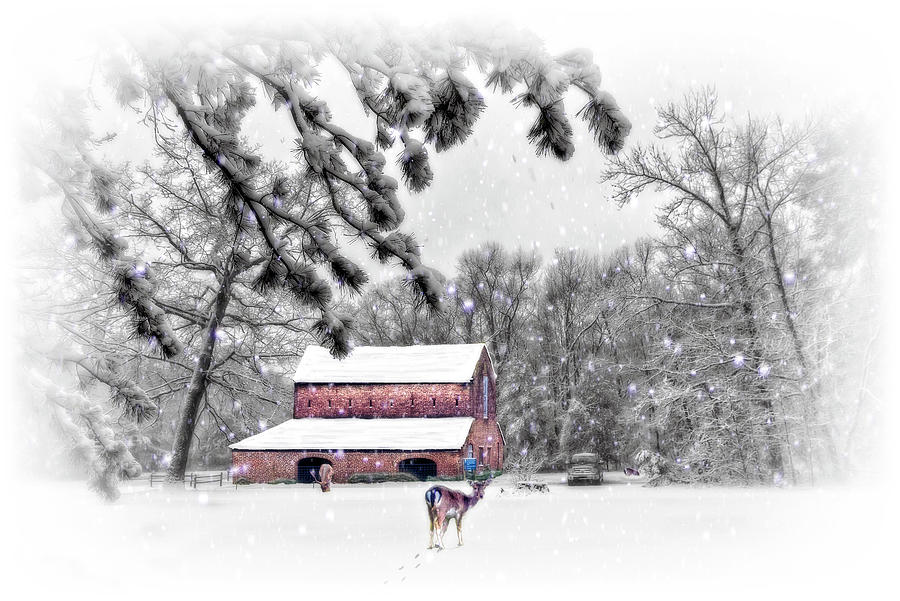 Abbie Shores Edit Challenge 56 - Snow Digital Art by Brian Wallace