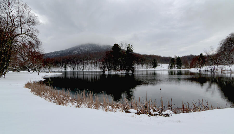 Abbott Lake In Winter Photograph