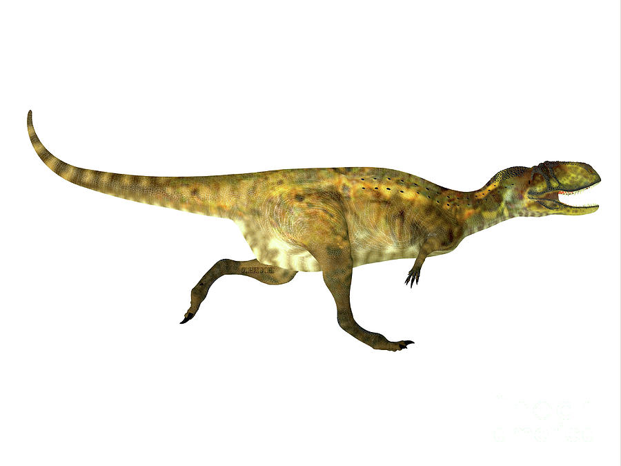 Abelisaurus Dinosaur Running Digital Art by Corey Ford